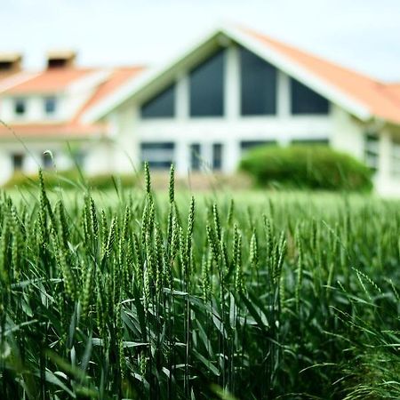 Katrinebergs Folkhoegskola B&B Vessigebro Kültér fotó