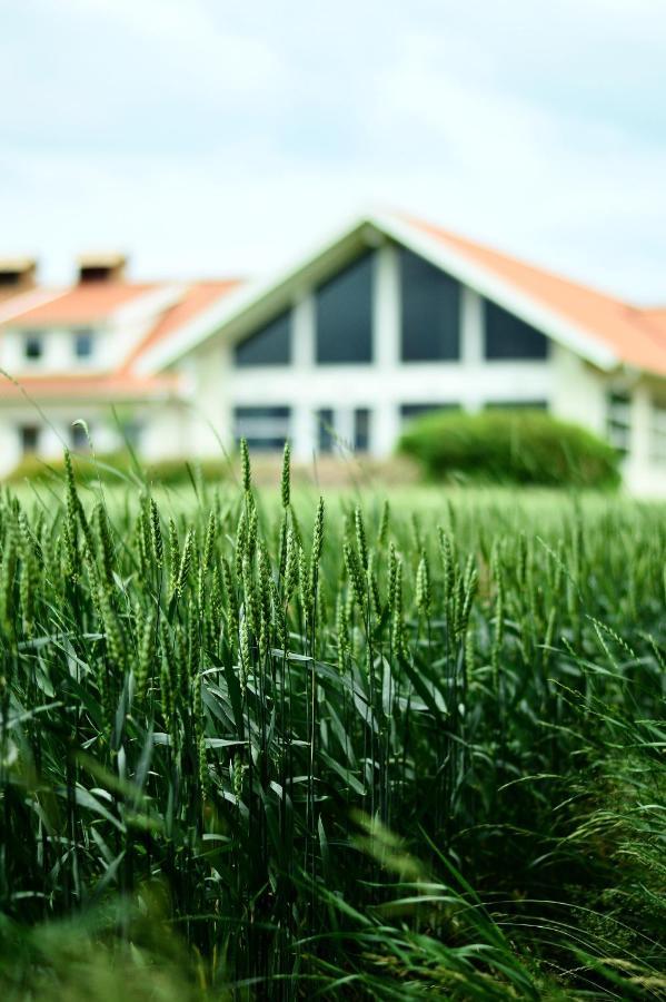 Katrinebergs Folkhoegskola B&B Vessigebro Kültér fotó